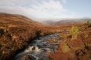 4536 Mist on Cronkley Fell, Skyer Beck, Upper Teesdale County Durham.